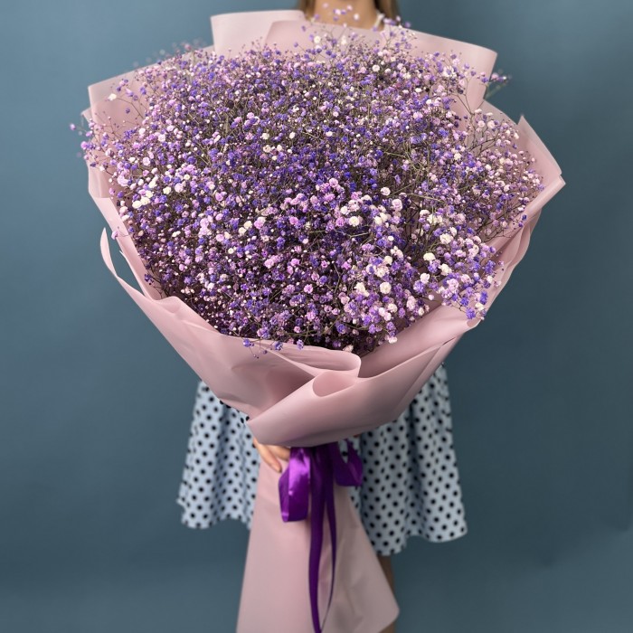 15 фиолетовых гипсофил